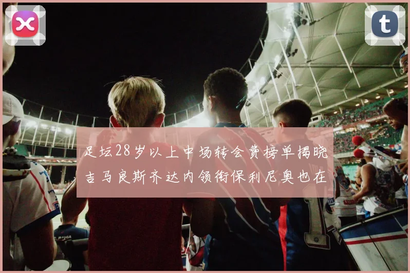 足坛28岁以上中场转会费榜单揭晓吉马良斯齐达内领衔保利尼奥也在列