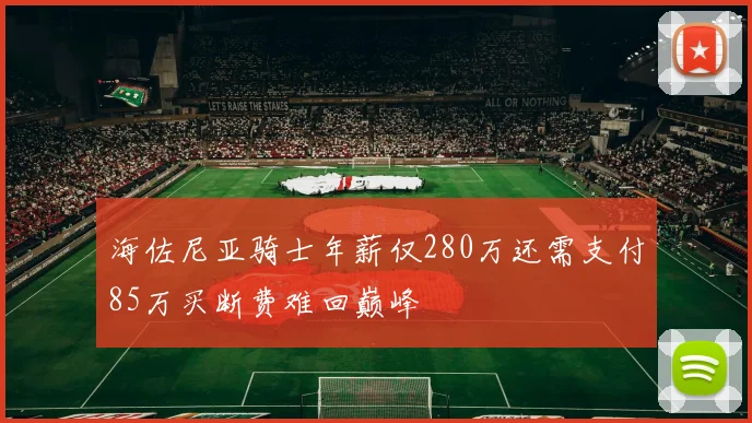 海佐尼亚骑士年薪仅280万还需支付85万买断费难回巅峰